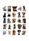 Sevimli Köpek Çıkartmaları Laptop Notebook Tablet Sticker Seti