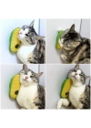 Silikon Kaşıyıcılı Kedi Otu