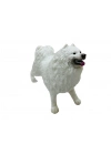 Soft Köpekler - Samoyed Cinsi Köpek  - E013