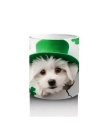 St. Patrick Şapkalı Çatlakta Sevimli Yavru Köpek – Baskılı Kahve Kupası