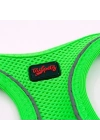Tailpetz Air Mesh Köpek Göğüs Tasması XSmall 32x36 cm Neon Yeşil