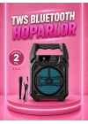 Taşınabilir 6.5” Bluetooth Hoparlör USB TF Kart Mikrofonlu Şarjlı Sistem