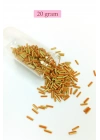 Uzun Boru Kesme Boncuk Çap 2mm Uzunluk 10 mm - 20 Gram - Yeşil Turuncu - BNC261