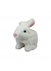 VRD10643 PELUŞ EVCİL TAVŞAN (SESLİ VE(adet fiyatıdır)