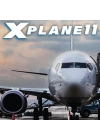 X Plane 11