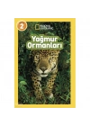 Yağmur Ormanları