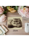 Yana Yatmış İran Kedisi Mousepad – Tüylü Detaylar - 19x23 cm 2 mm Dikdörtgen İthal Baskılı Mouse Pad