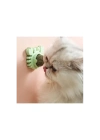 Yengeç Kedi Otu Oyun Topu
