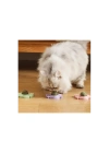 Yengeç Kedi Otu Oyun Topu