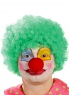 Yeşil Renk Kıvırcık Afro Palyaço Seti