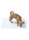 Yıkanabilir Köpek Çiş Pedi - 100 X 100 Cm 5li Paket