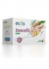 Zencefil Çayı 20 Li.