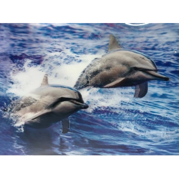 3 Boyutlu Resim  Sevimli Yunuslar İkili Yunus Resmi Tablosu 30x40 Cm