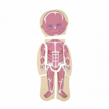 ÇOK SATAN 2917 SUN-Tahta Puzzle İnsan Vücudu