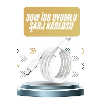 ÇOK SATAN IOS Tüm Serilerle Uyumlu 30W Hızlı Şarj Aleti 11 12 13 14/Pro Max Mini Plus
