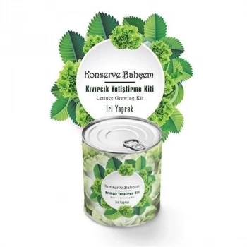 ÇOK SATAN Konserve Bahçem Evde Konservede İri Yapraklı Kıvırcık Yetiştirme Kiti