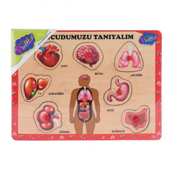 ÇOK SATAN ONY-287 288 Ahşap Tutmalı Vücumuzu Tanıyalım -Onyıl Oyuncak