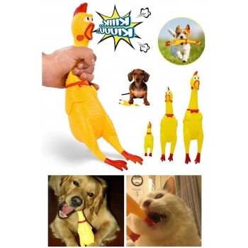 ÇOK SATAN Ses Çıkaran Tavuk Kedi Köpek Oyuncağı 38 Cm.
