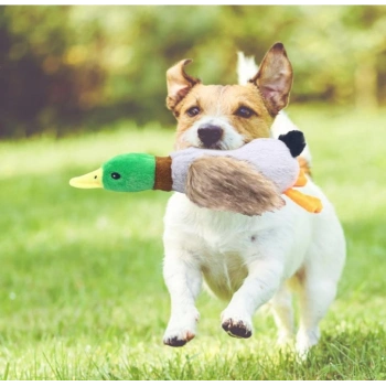 ÇOK SATAN Sesli Ördek Şekilli Peluş Köpek Oyuncağı