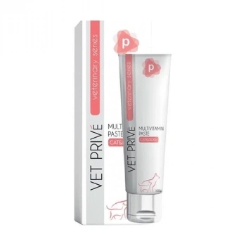 ÇOK SATAN Vet Prive Multivitamin Desteği Sağlayan Kedi ve Köpekler için Malt Macun 100 Gr