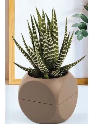 1 No Küp Saksı Royaleks-KRS-401