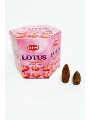 10 Adet Geri Akış Backflow Şelale Tütsü Konisi Tütsü Back Lotus Çiçeği Kokulu