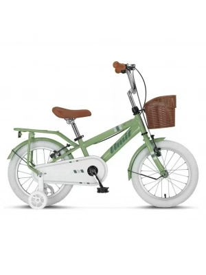 16 Jant Erkek Çocuk Bisikleti