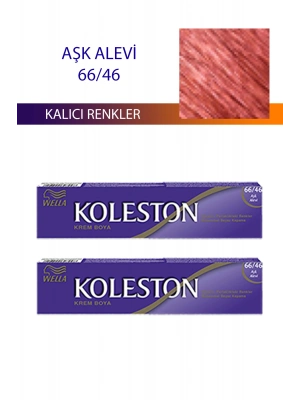 2 Adet Single Tüp Boya Saç Boyası Aşk Alevı 66/46