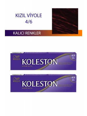 2 Adet Single Tüp Boya Saç Boyası Kızıl Viyole 4/6