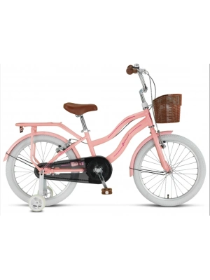 20 Jant Çocuk Bisikleti