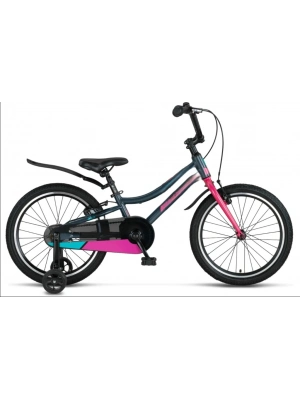 20 Kız Çocuk Bisikleti