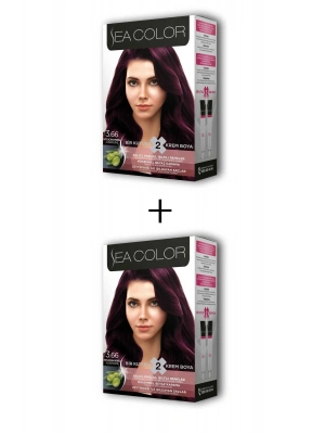 2X2 Tüp Krem Saç Boyası Seti Patlıcan Moru No:3.66