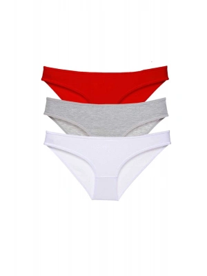 3 adet Süper Eko Set Likralı Kadın Slip Külot 542