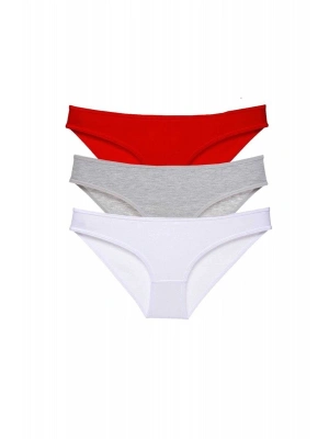 3 adet Süper Eko Set Likralı Kadın Slip Külot 542