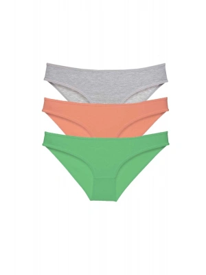 3 adet Süper Eko Set Likralı Kadın Slip Külot Gri Pudra Yeşil