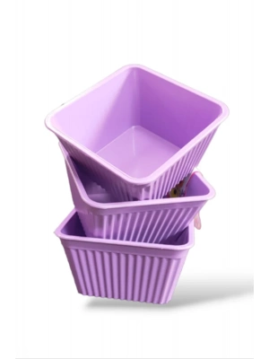 3lü Kare Çerezlik Royaleks-540