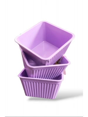 3lü Kare Çerezlik Royaleks-540
