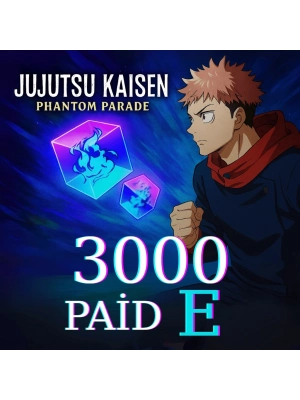3000 Paid E