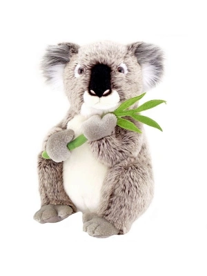 30Cm Koala