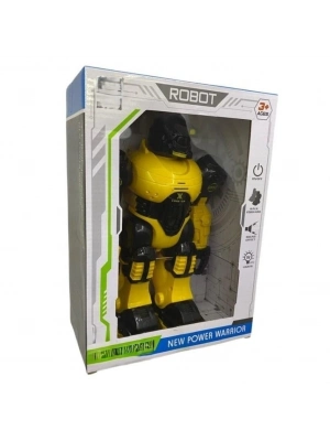 333-11/12/13 ROBOT
