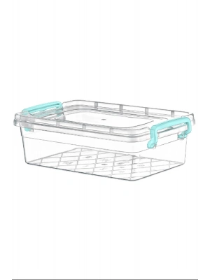 3.5 Lt. Midi Box Saklama Kabı No:3 Royaleks-AK245