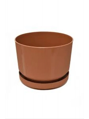 3No Saksı 6Lt Royaleks-S283