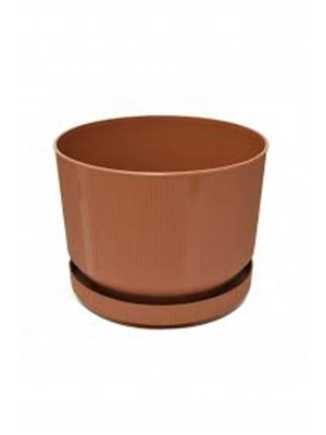 3No Saksı 6Lt Royaleks-S283