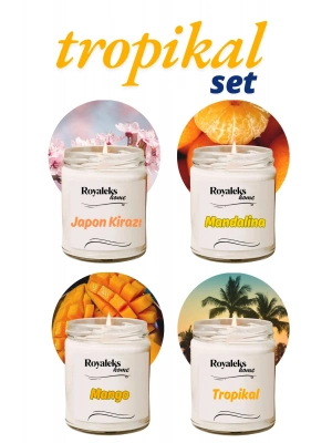 4 Adet Doğal Özel Seri Kokulu Dekoratif Kavanoz Mum 4X210 cc - Tropikal Set - RYL