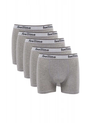 5 adet Feelline Gri Pamuklu Doğal Likralı Erkek Boxer