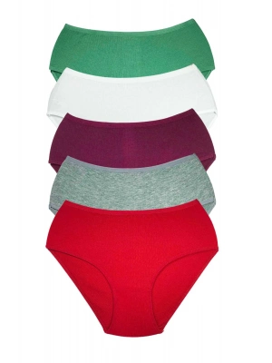 5 Adet Kadın Yüksek Bel Ribana Bato Külot S044