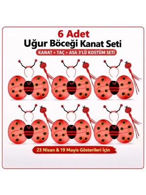 6'lı Uğur Böceği Kostüm Seti – Kanat Taç Asa