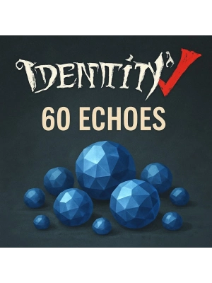 60 + 6 Echoes