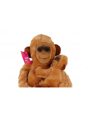 6899 YAVRULU MAYMUN SALAŞ 65 CM