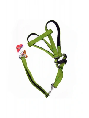 Euro Dog Köpek Uzatma Tasması ve Göğüs Tasması Takımı Yeşil 25 Mm 120 Cm